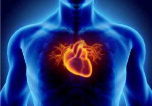 heart 3d rendered - tachycardia